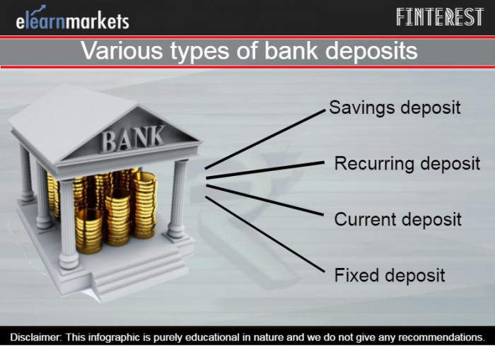 Learn About Different Types Of Bank Deposits   Various Type Of Bank Deposits 