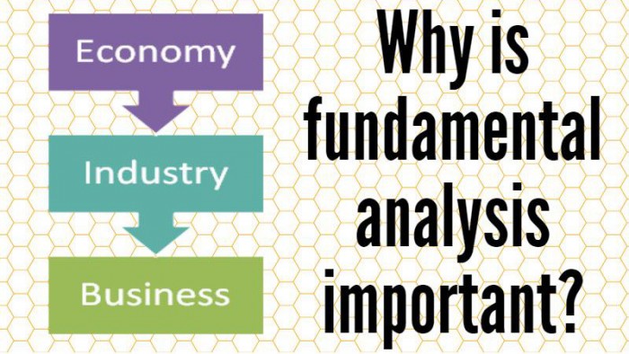 Why Fundamental Analysis is Important