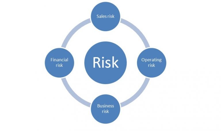 Business Risk Analysis Through The Concept Of Leverage