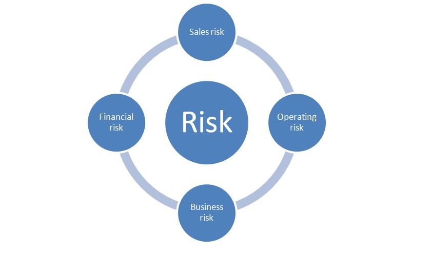 types of business risk