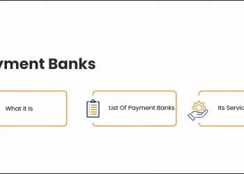 Payment Banks