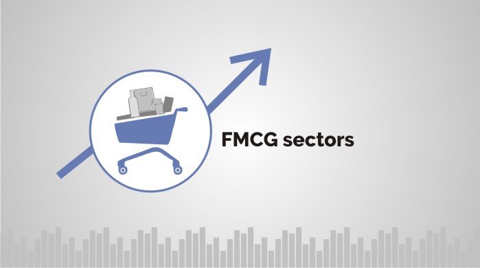 fmcg sector