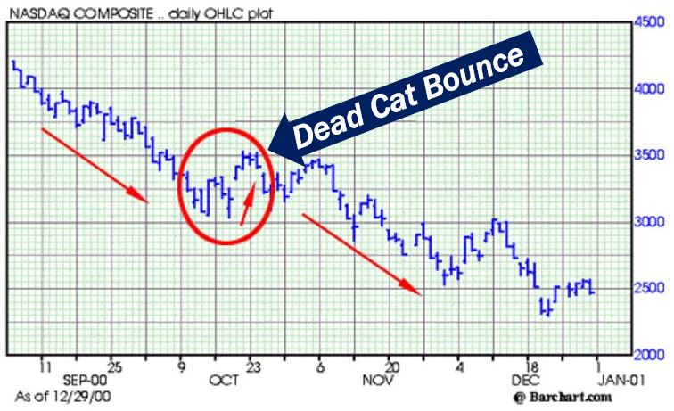 Dead Cat Bounce