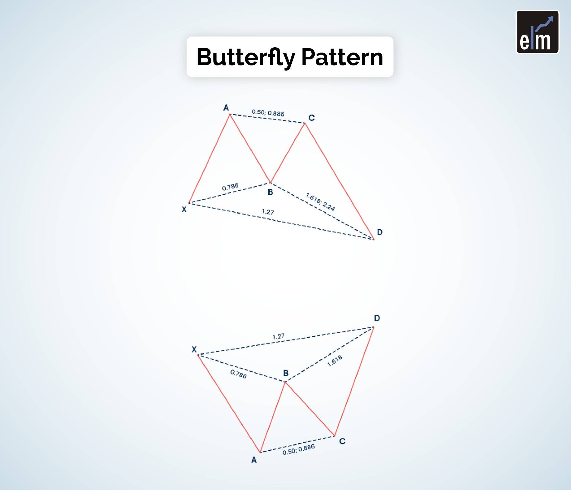 Butterly pattern