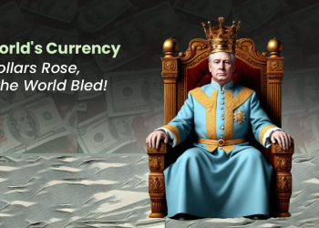 The World's Reserve Currency: How Dollars Rose When The World Bled! 2