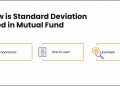 How is standard deviation used in mutual fund