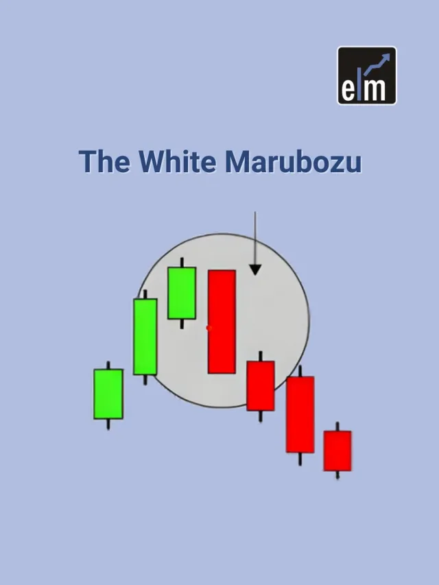 White Marubozu Candlestick Pattern