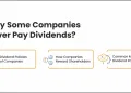 Dividend policy why some companies never pay dividend